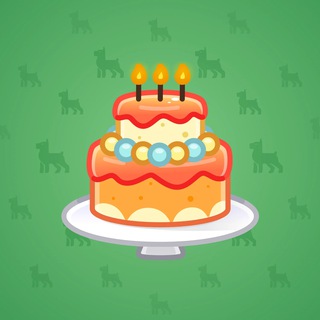 Homemade Cake #151131