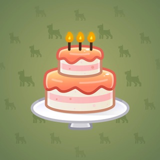 Homemade Cake #152082
