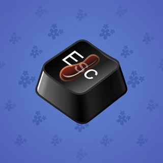 Input Key #133944