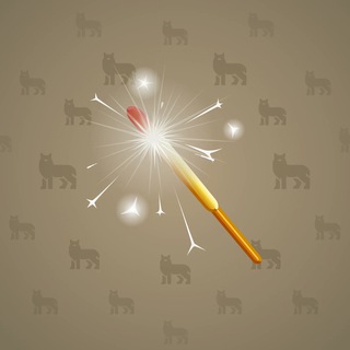 Party Sparkler #175830