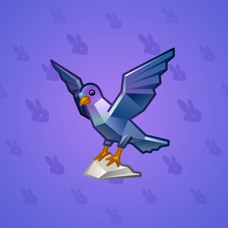 Rare Bird #11113