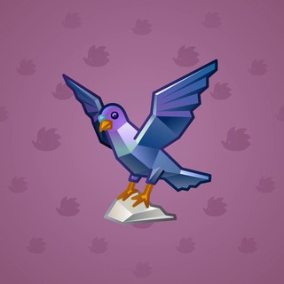 Rare Bird #11181