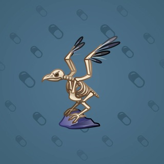 Rare Bird #12653