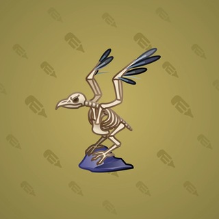 Rare Bird #12829