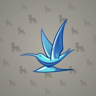 Rare Bird #9872