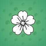 Sakura Flower #87935