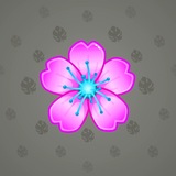Sakura Flower