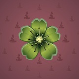 Sakura Flower
