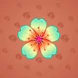 Sakura Flower