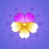 Sakura Flower