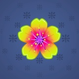 Sakura Flower
