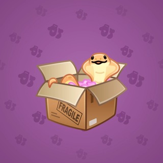 Snake Box #183733
