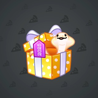 Snake Box #184376