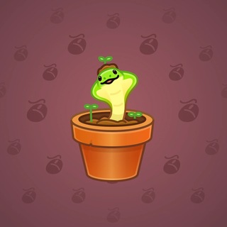 Snake Box #185038