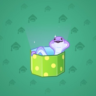 Snake Box #185050