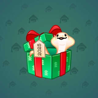 Snake Box #185078