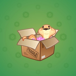 Snake Box #185089