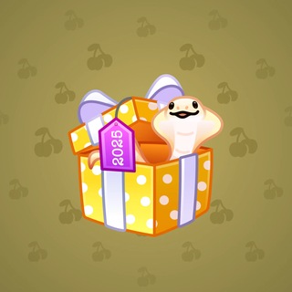 Snake Box #186706