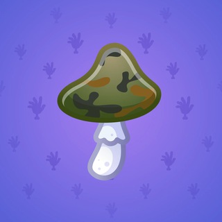 Spy Agaric #70241