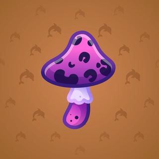 Spy Agaric #81466