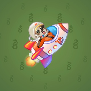 Stellar Rocket #128866