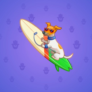Surge Board #25244