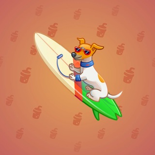 Surge Board #29851