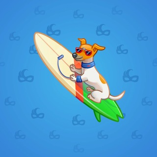 Surge Board #29862