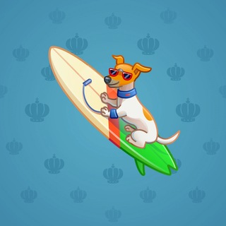 Surge Board #29930