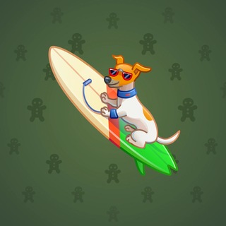 Surge Board #4444