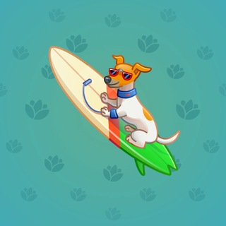 Surge Board #7905