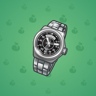 Swiss Watch #24370